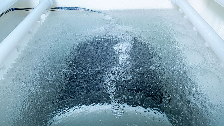Wafers in Fluidjet immersion tank
