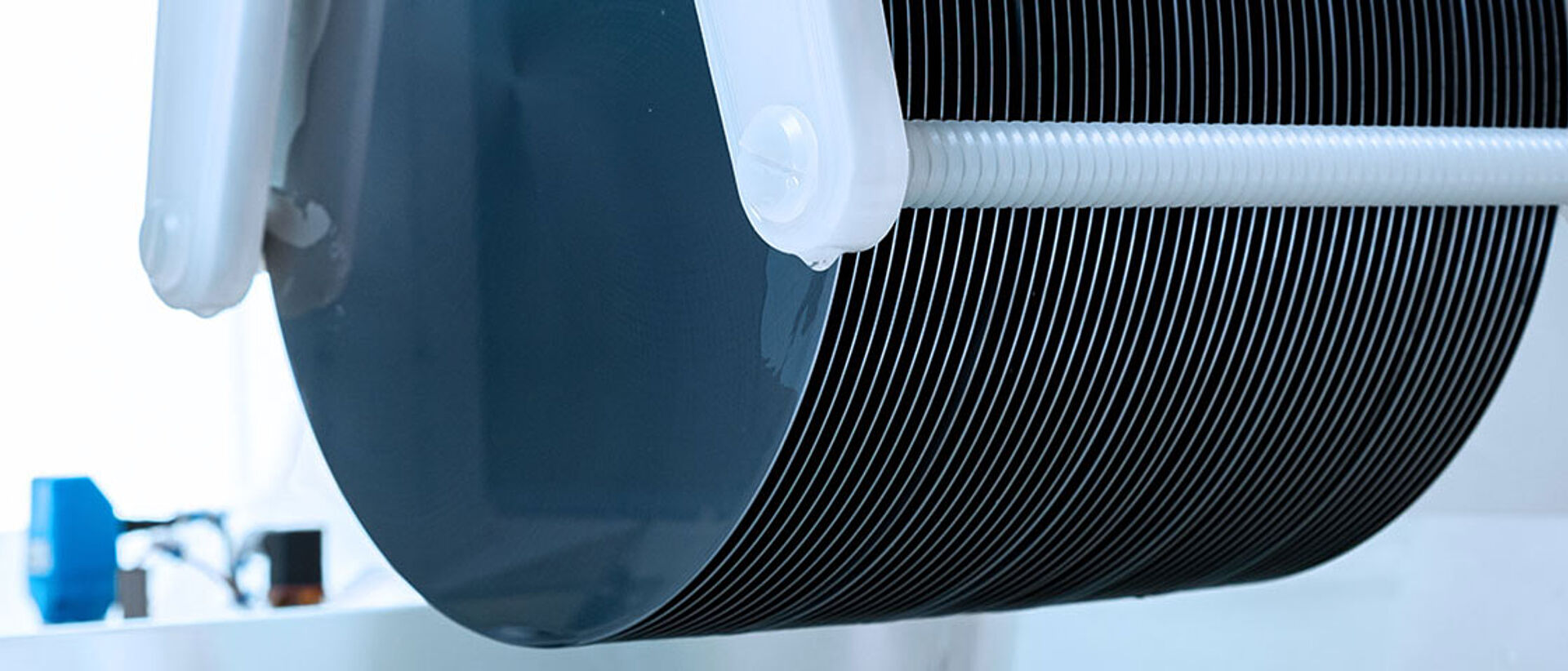 Semiconductor wafers in carrier